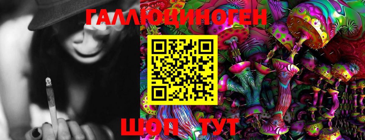 закладки  Вход с VPN  Михайловск  Галлюциногенные грибы Psilocybe 